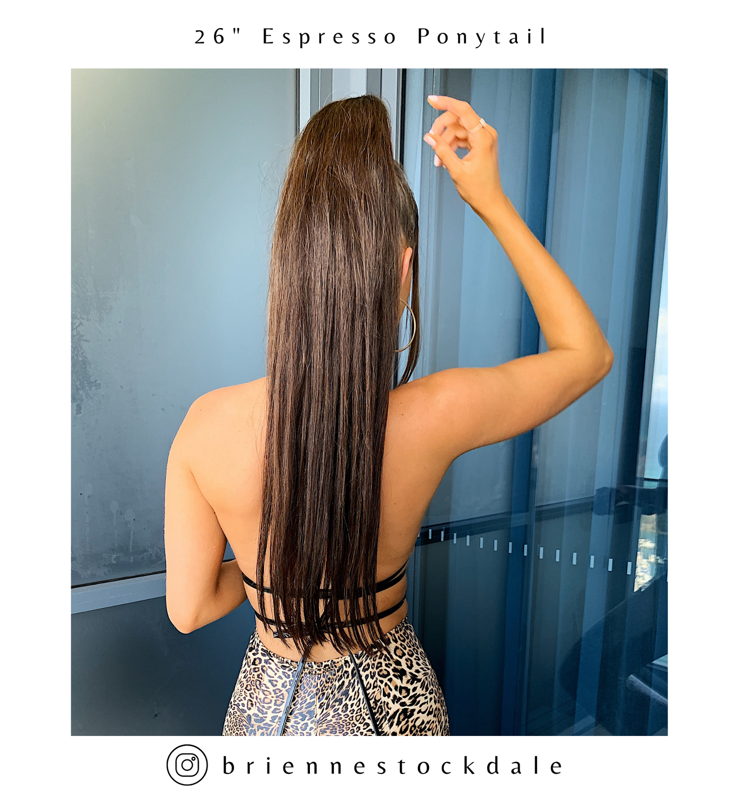 Espresso Brown #2 Clip On Ponytail Hair Extensions
