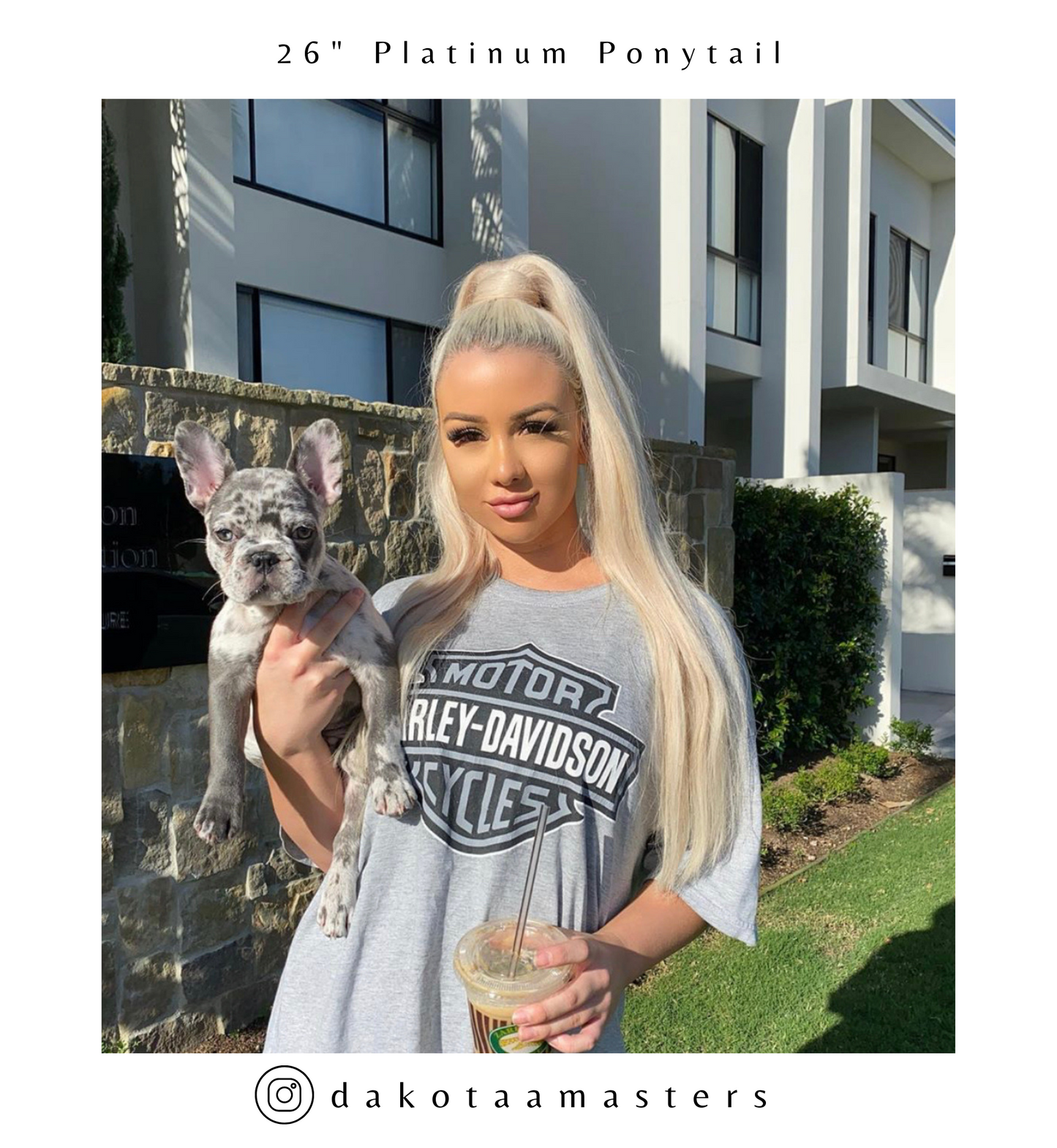 Platinum Blonde Clip In Hair Extensions 26-inch
